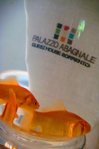 Фото Palazzo Abagnale Guest House