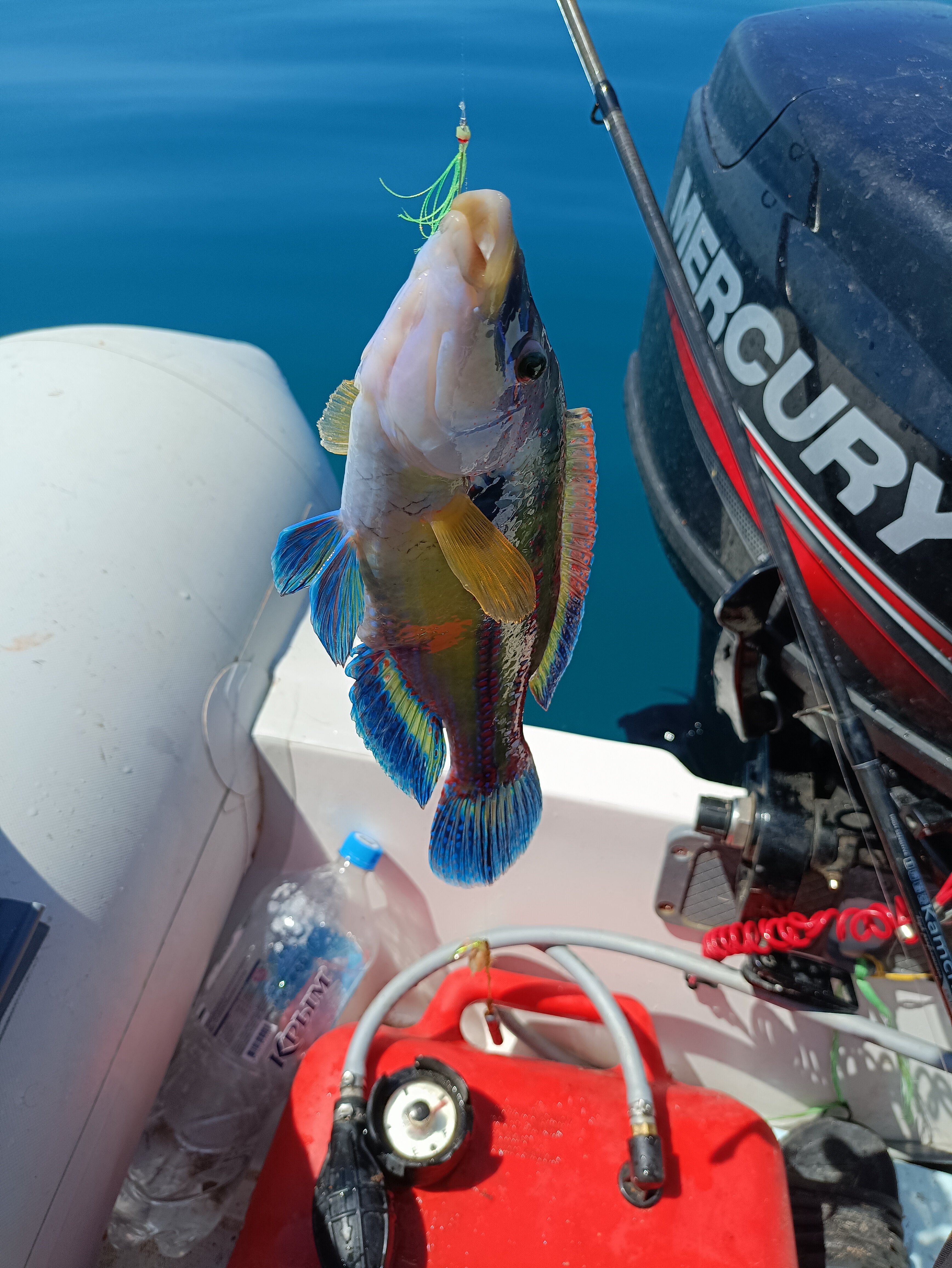 Фото Одиссей