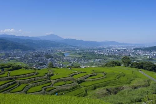 Фото Hotel Metropolitan Nagano