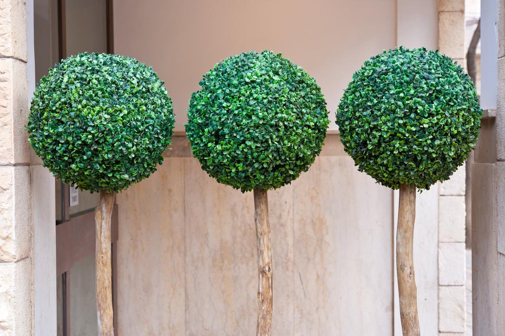 Фото Jerusalem Inn