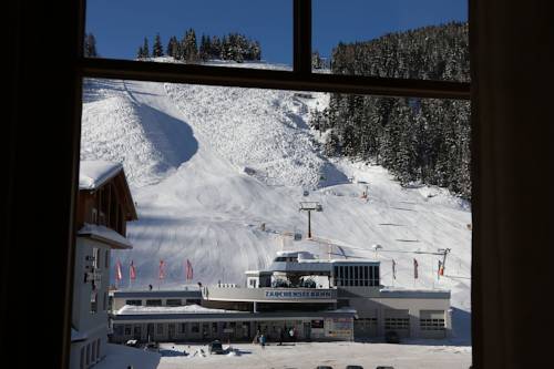 Фото Hotel Enzian