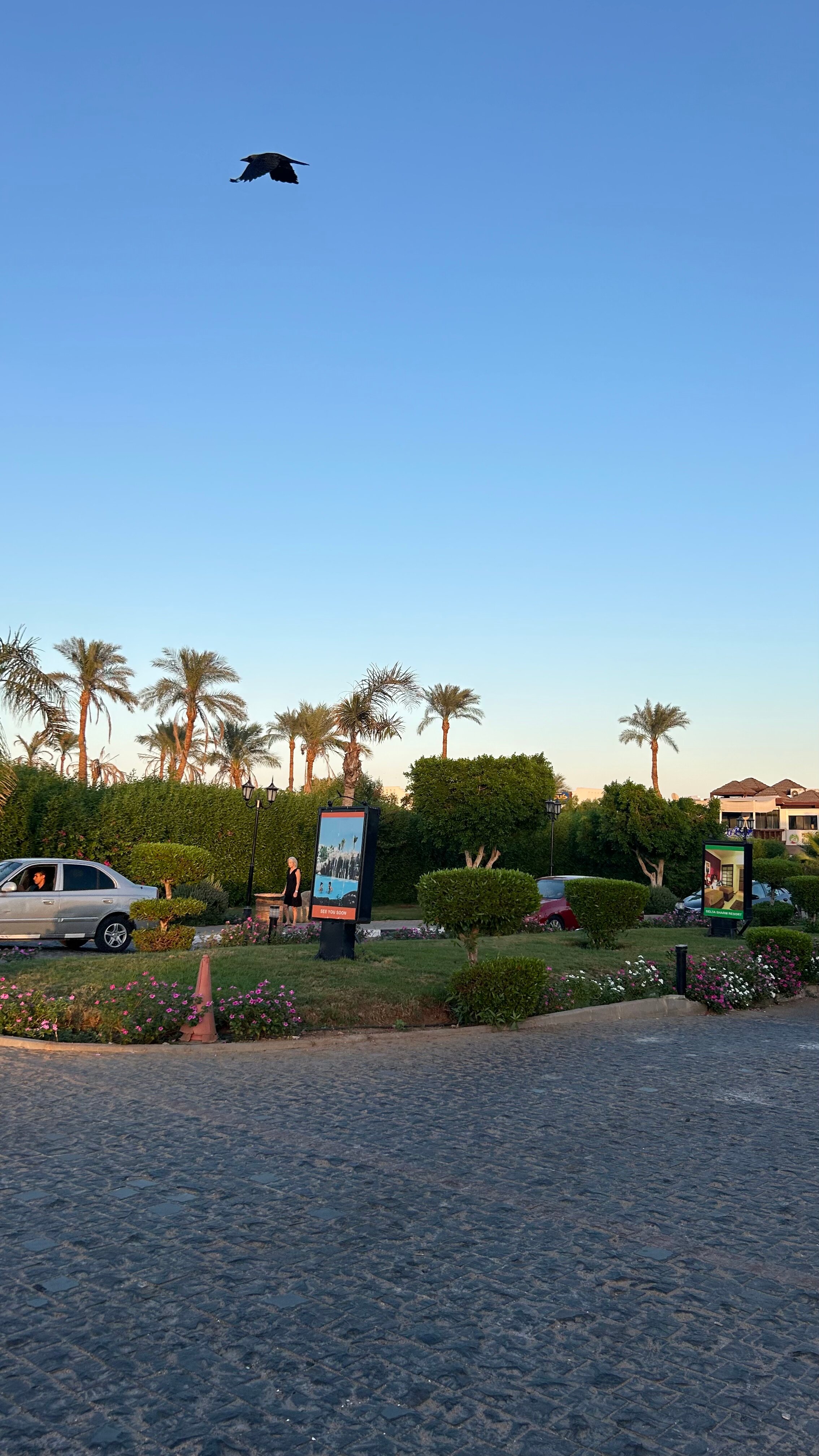Фото Delta Sharm