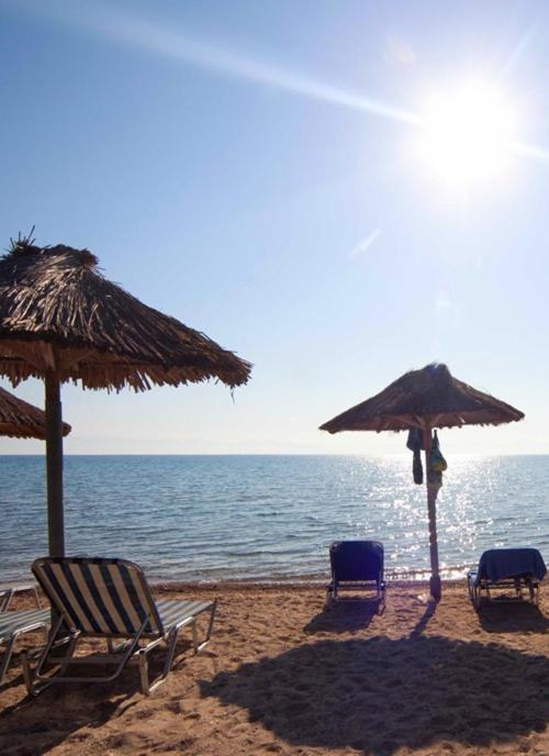 Фото Marina Boutique Hotel