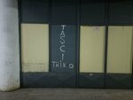 Tasci Knitwear (İstanbul, Bayrampaşa, Yenidoğan Mah., Şehit Naci Çakar Sok., 61), prendas de punto, prendas de punto