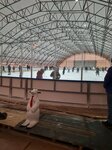 Каток Тосно (Leningrad Region, Tosno), diversión de invierno