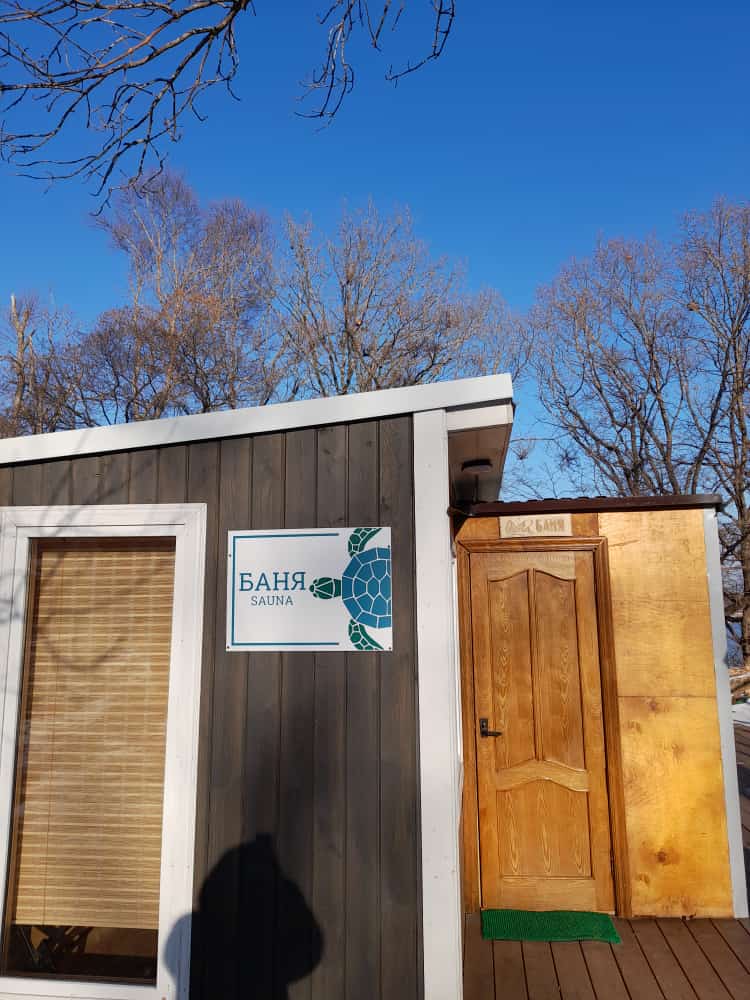 Фото Лазурная черепаха