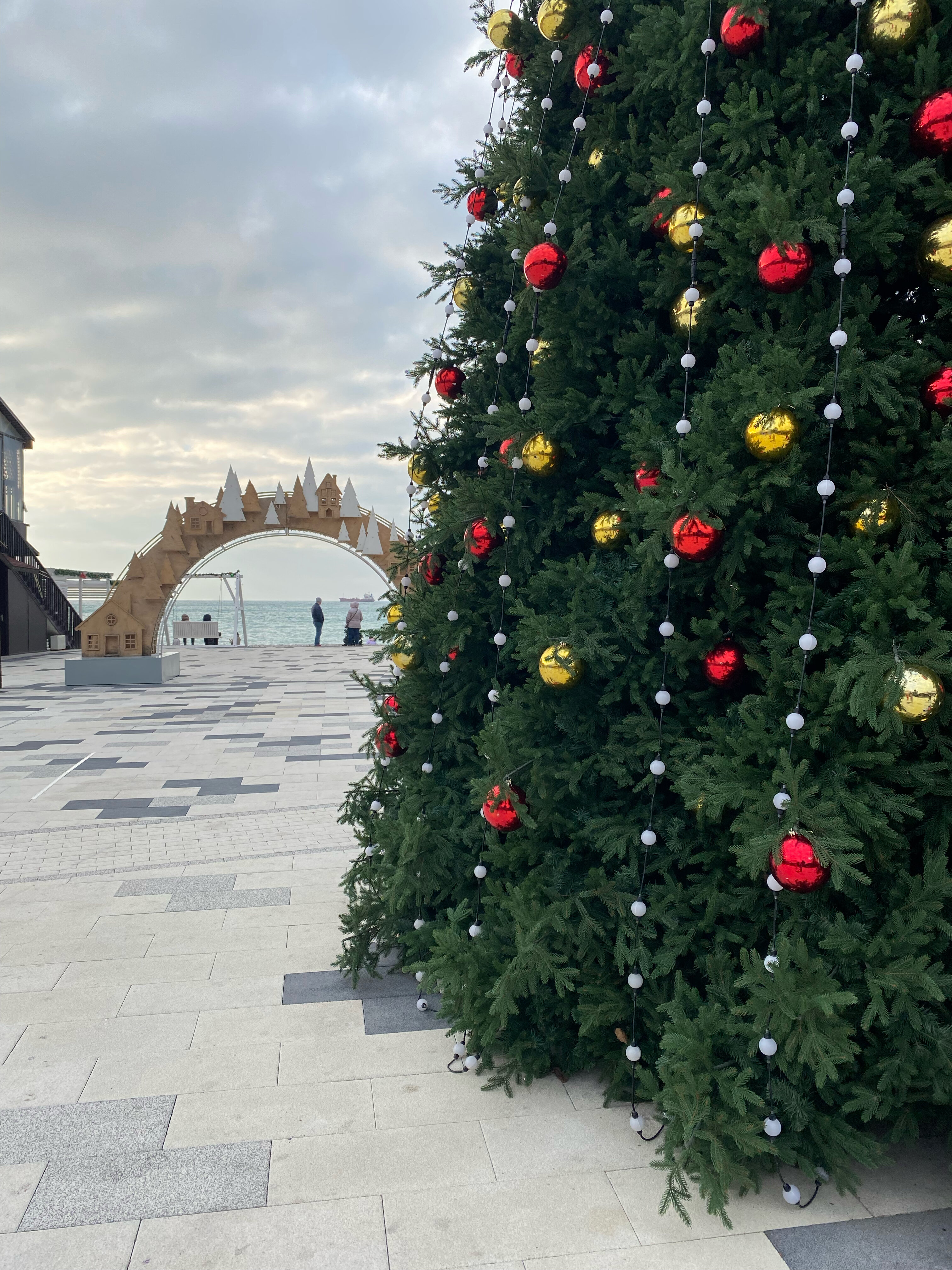 Фото Прованс