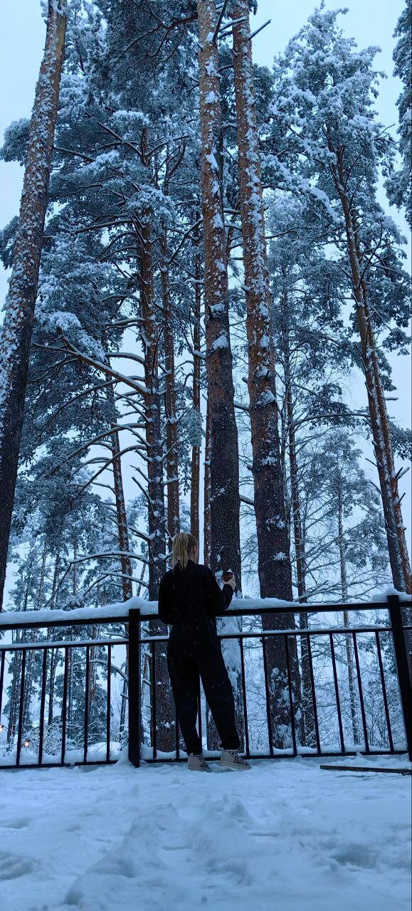 Фото Коттеджный комплекс Сосны