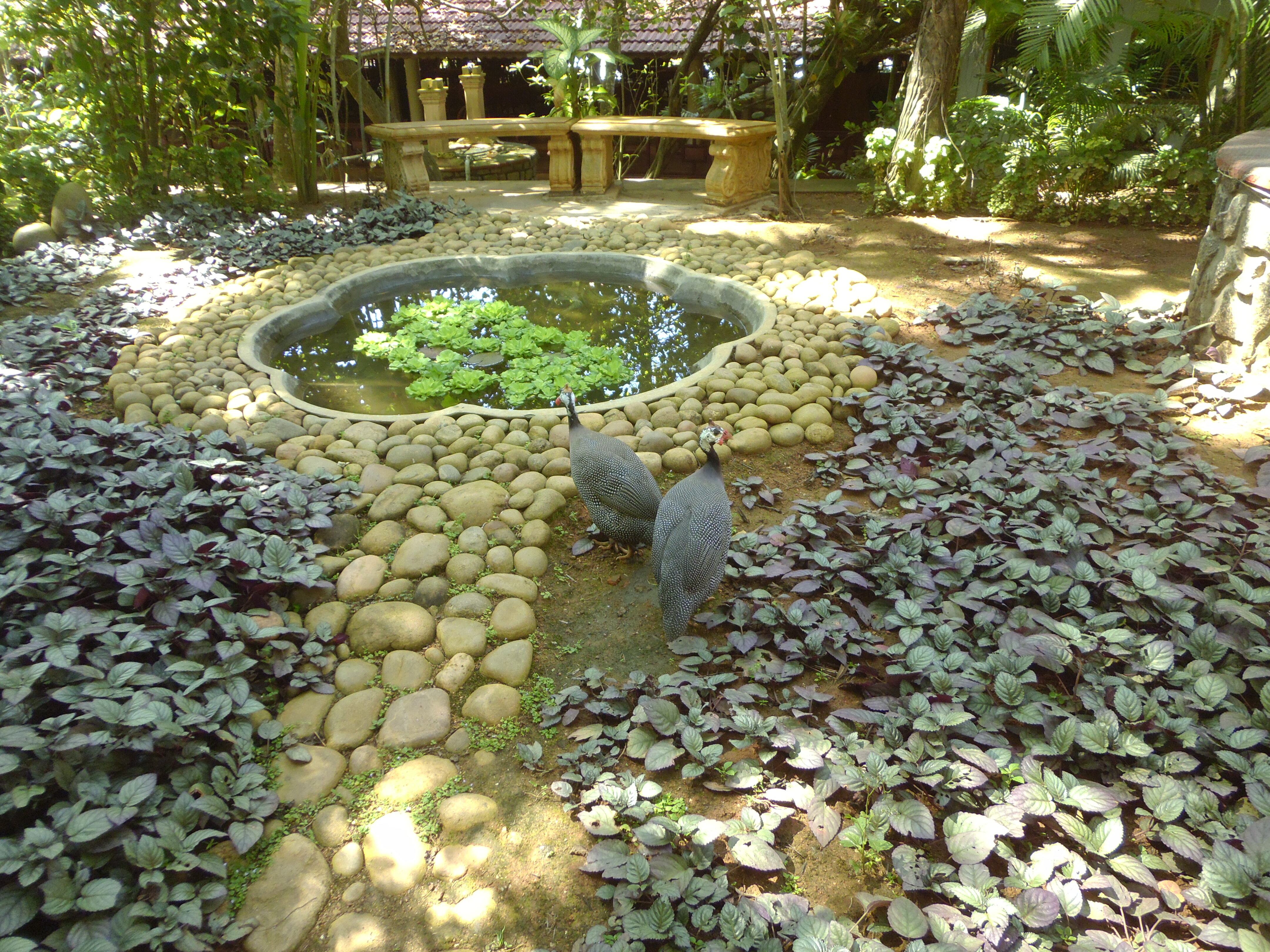 Фото Thapovan Heritage Home