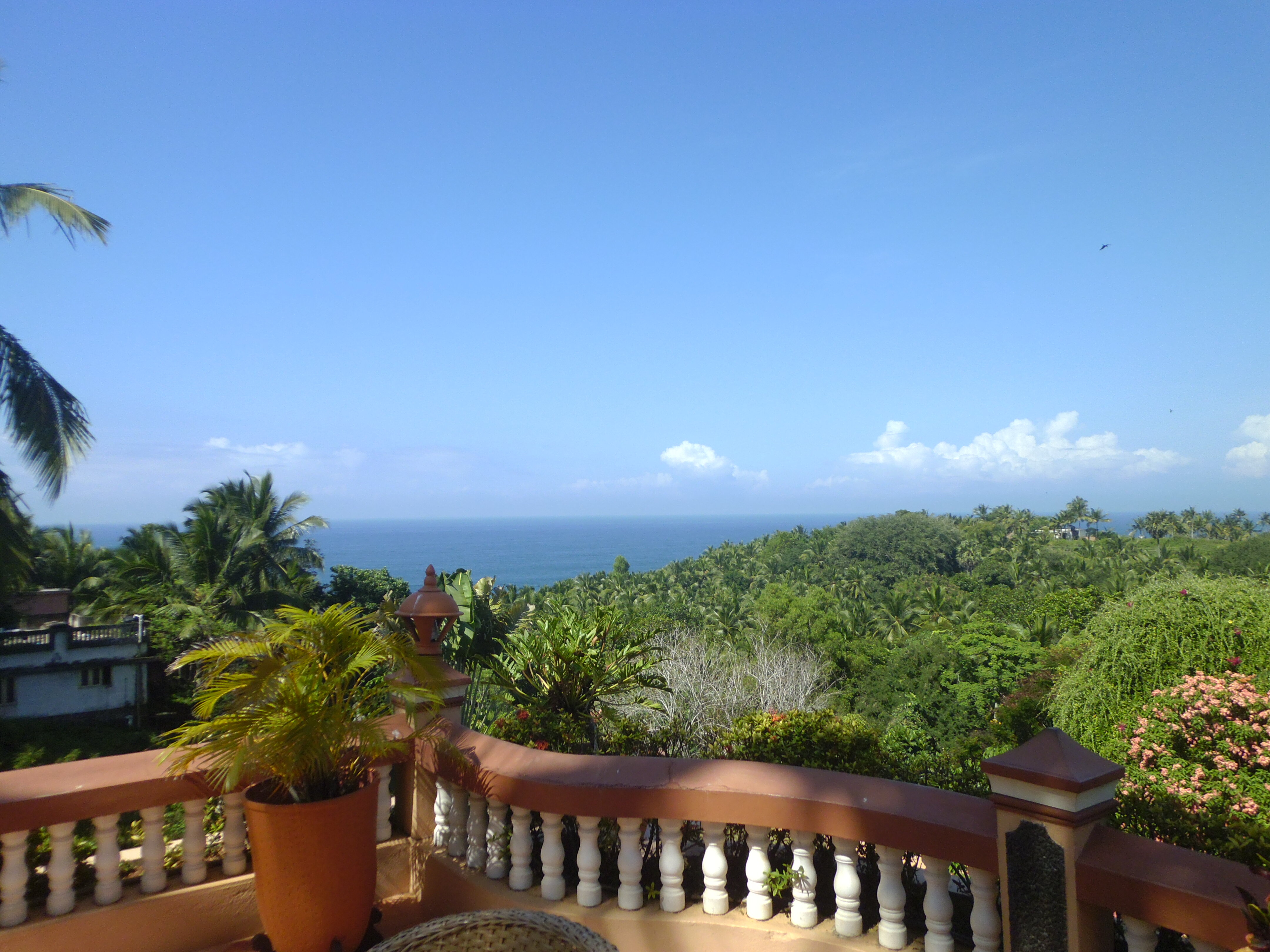 Фото Thapovan Heritage Home