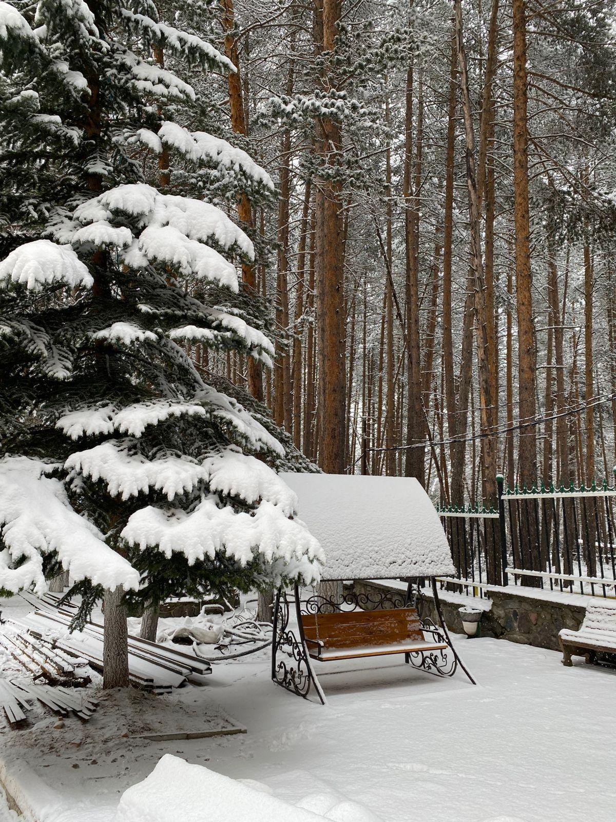 Фото Вольфрам
