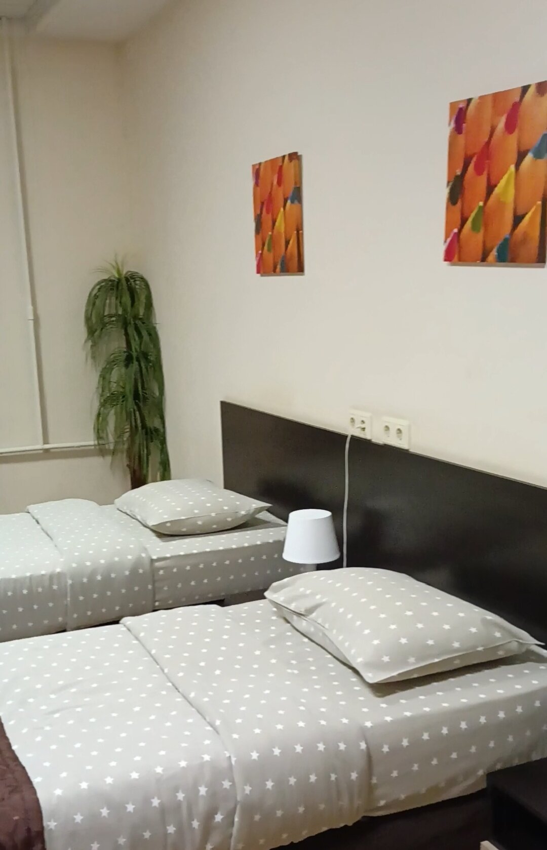 Фото Наш Питер