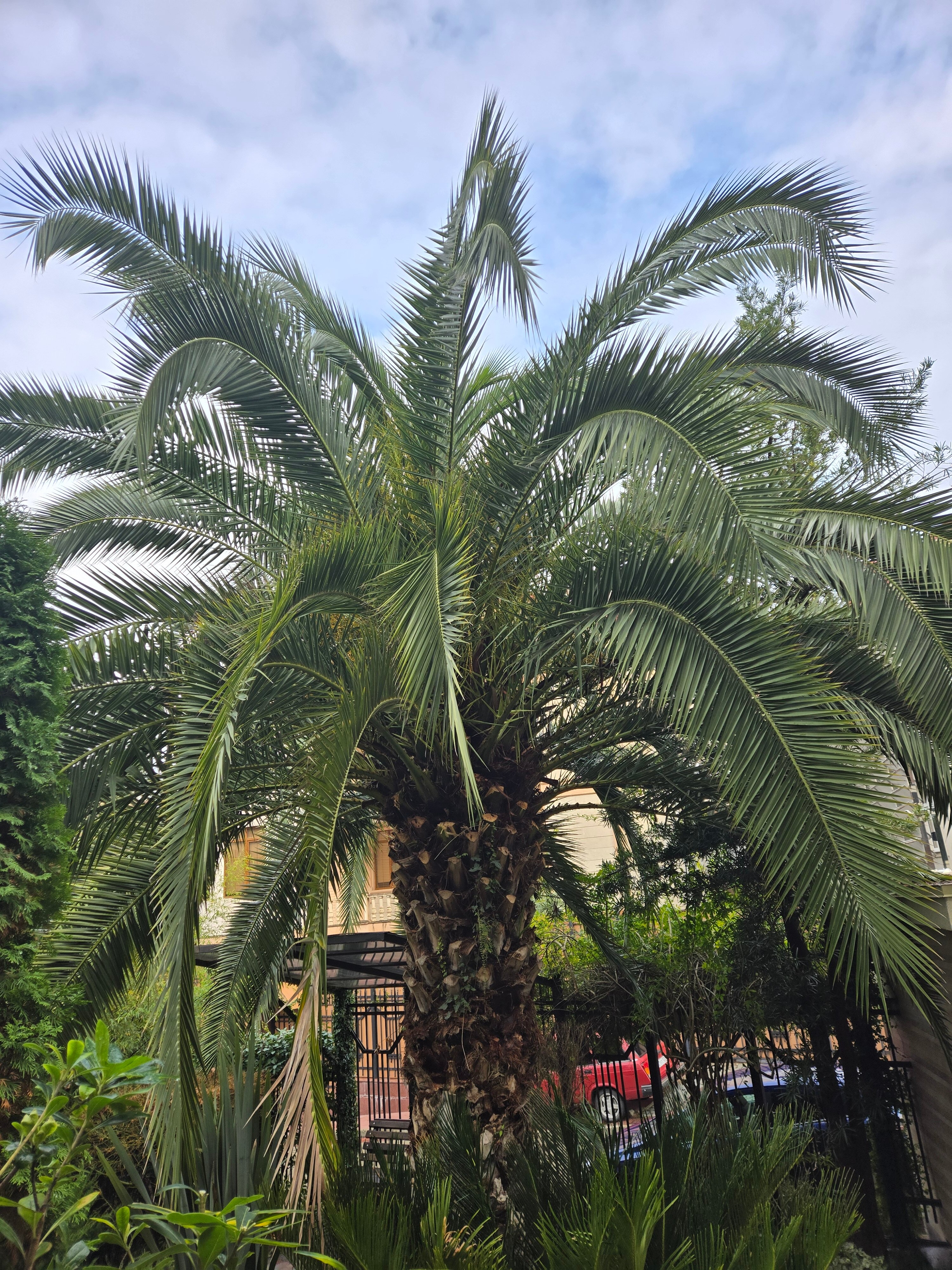 Фото Графит