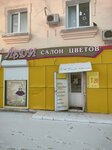 Леди (ulitsa Pobedy, 25) ، محل زهور