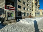 Пробка (Maksima Gorkogo Street, 4) ، متجر بيع البيرة