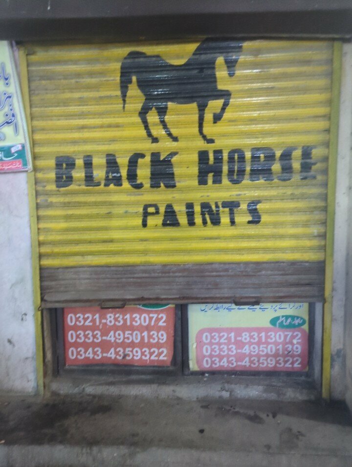 Paintwork materials Black house paint shop, Lahore, photo