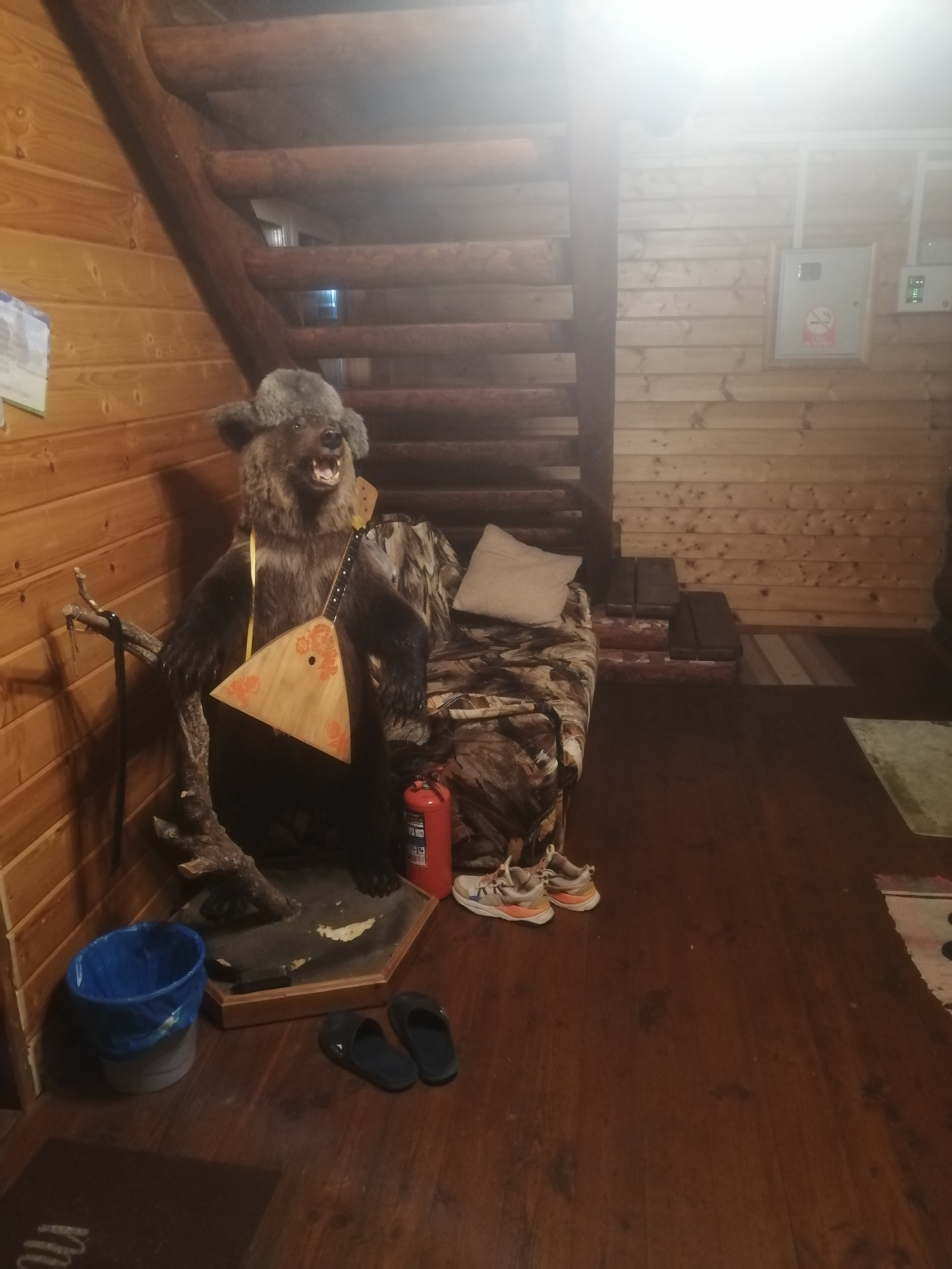 Фото Морошка