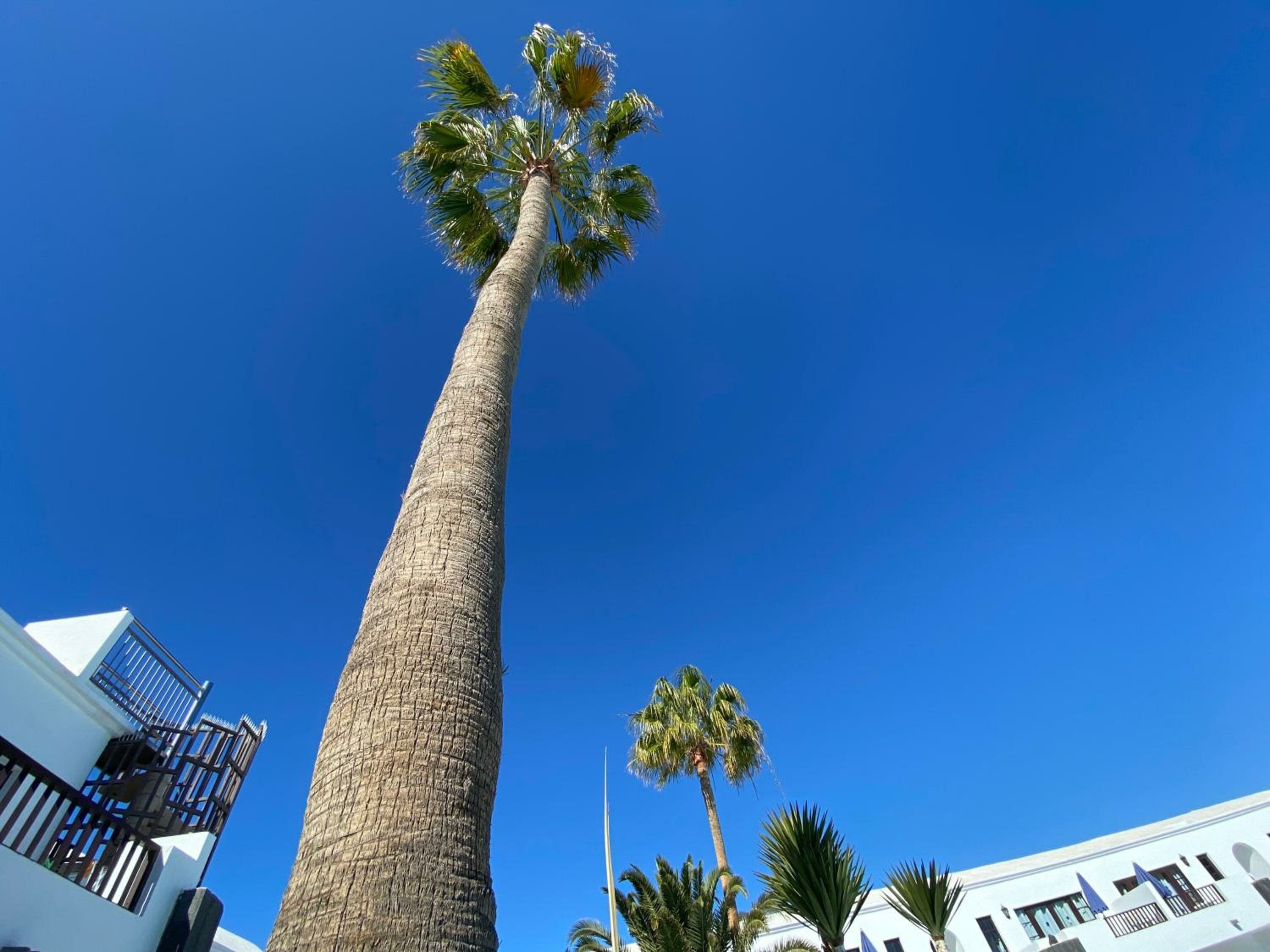 Фото Apartamentos Plaza Azul