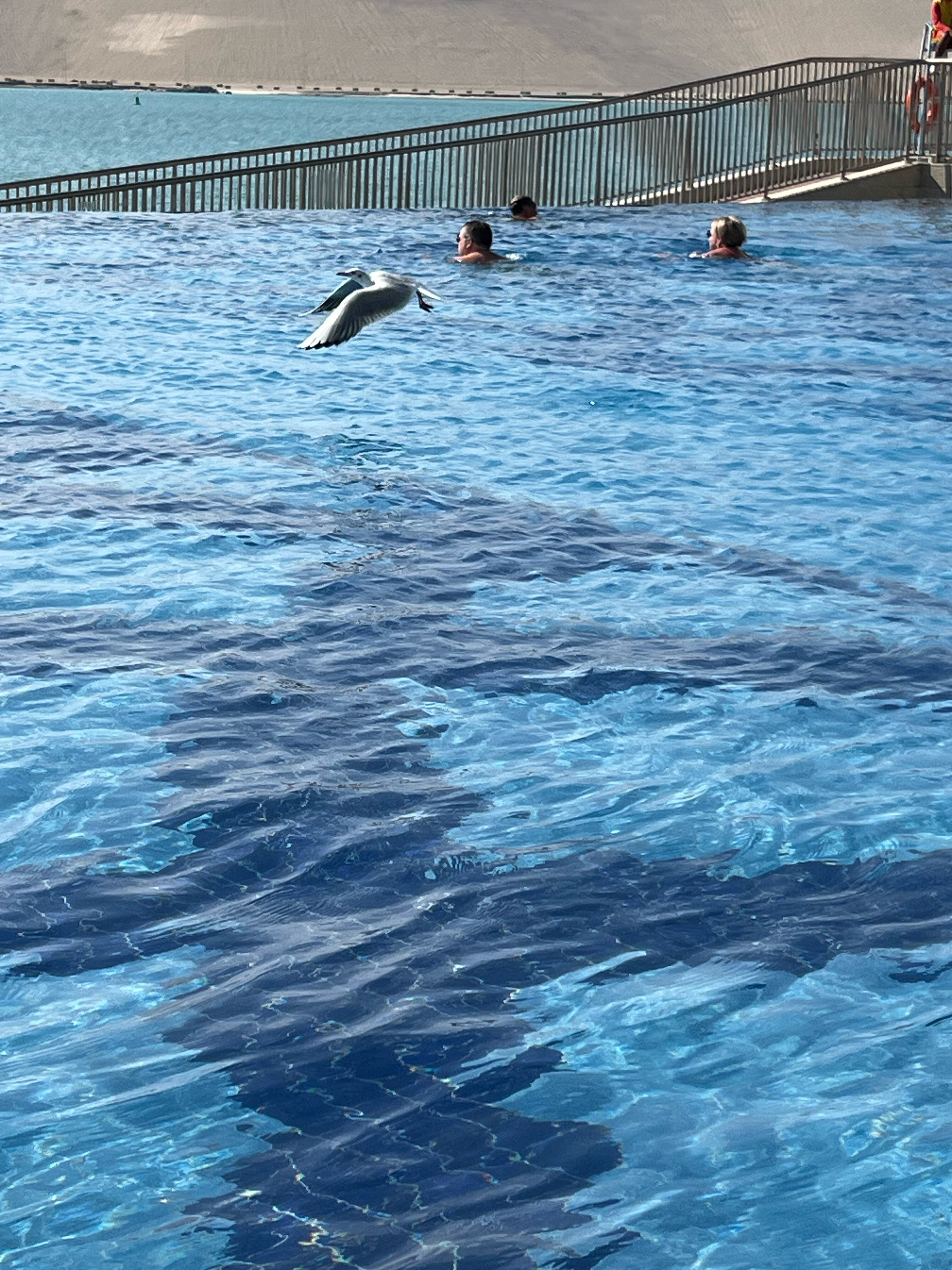 Фото Royal M Hotel By Gewan Abu Dhabi