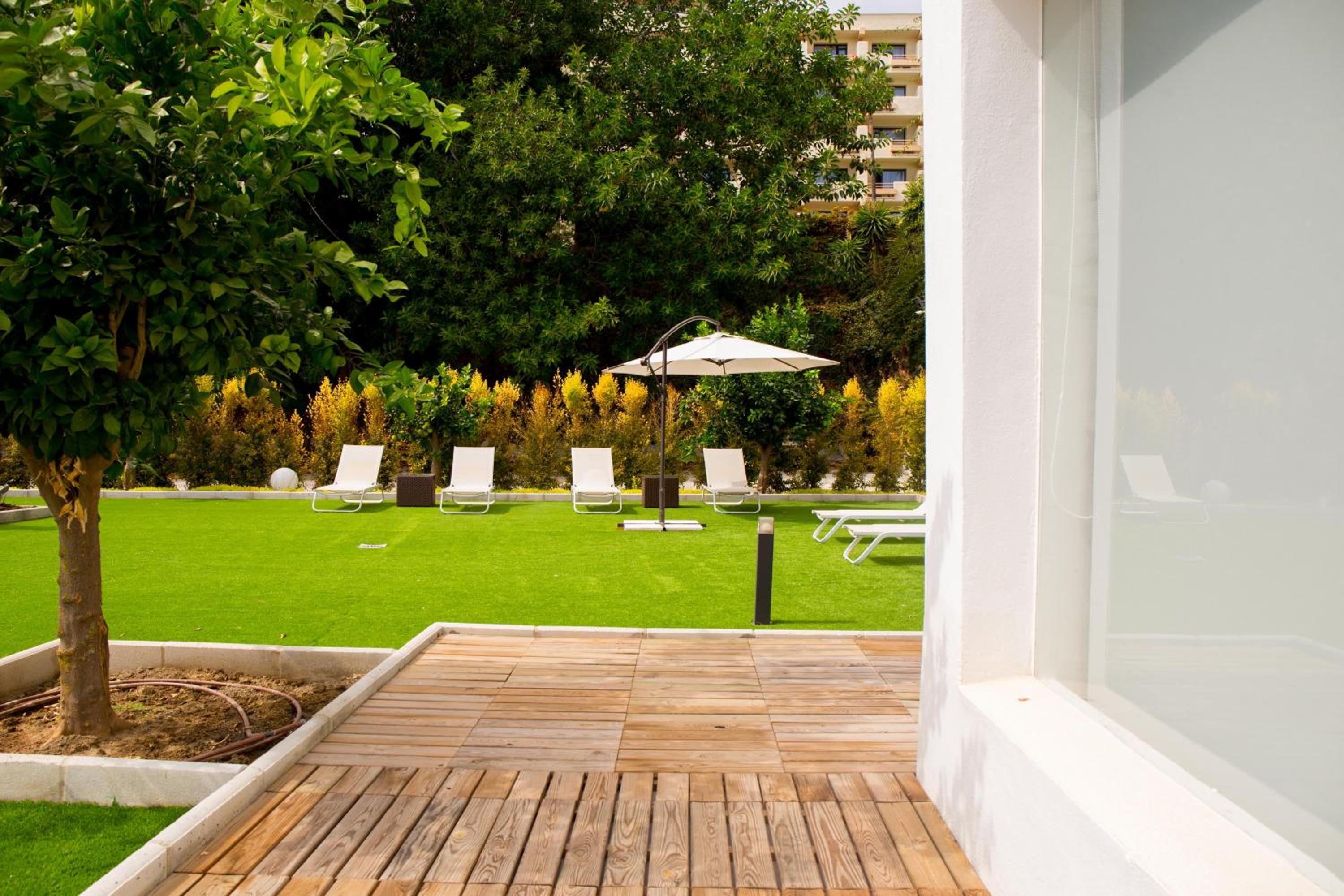 Фото Dimona Suites