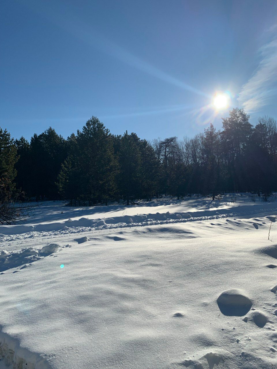 Фото Совушка