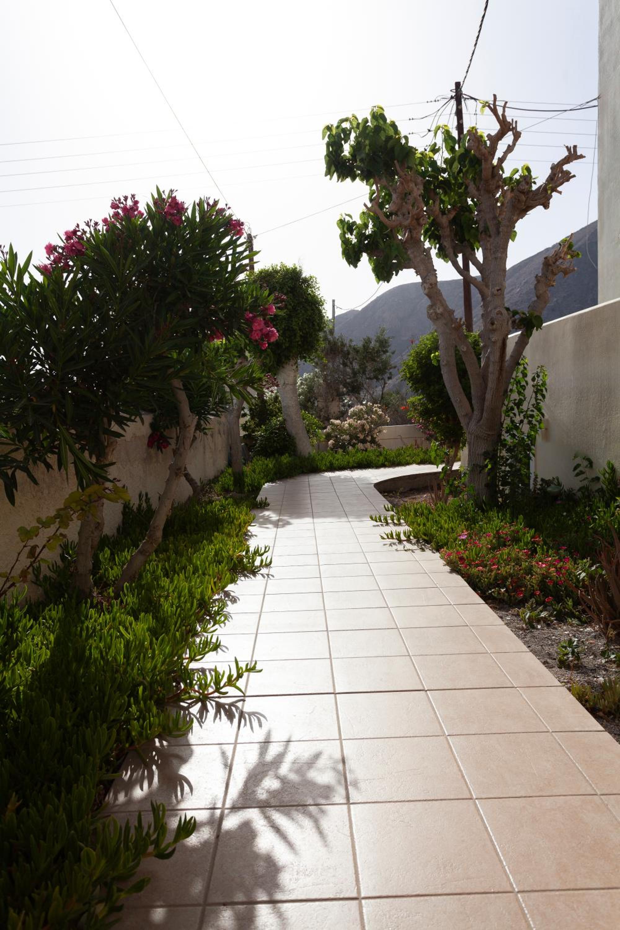 Фото 98929953658