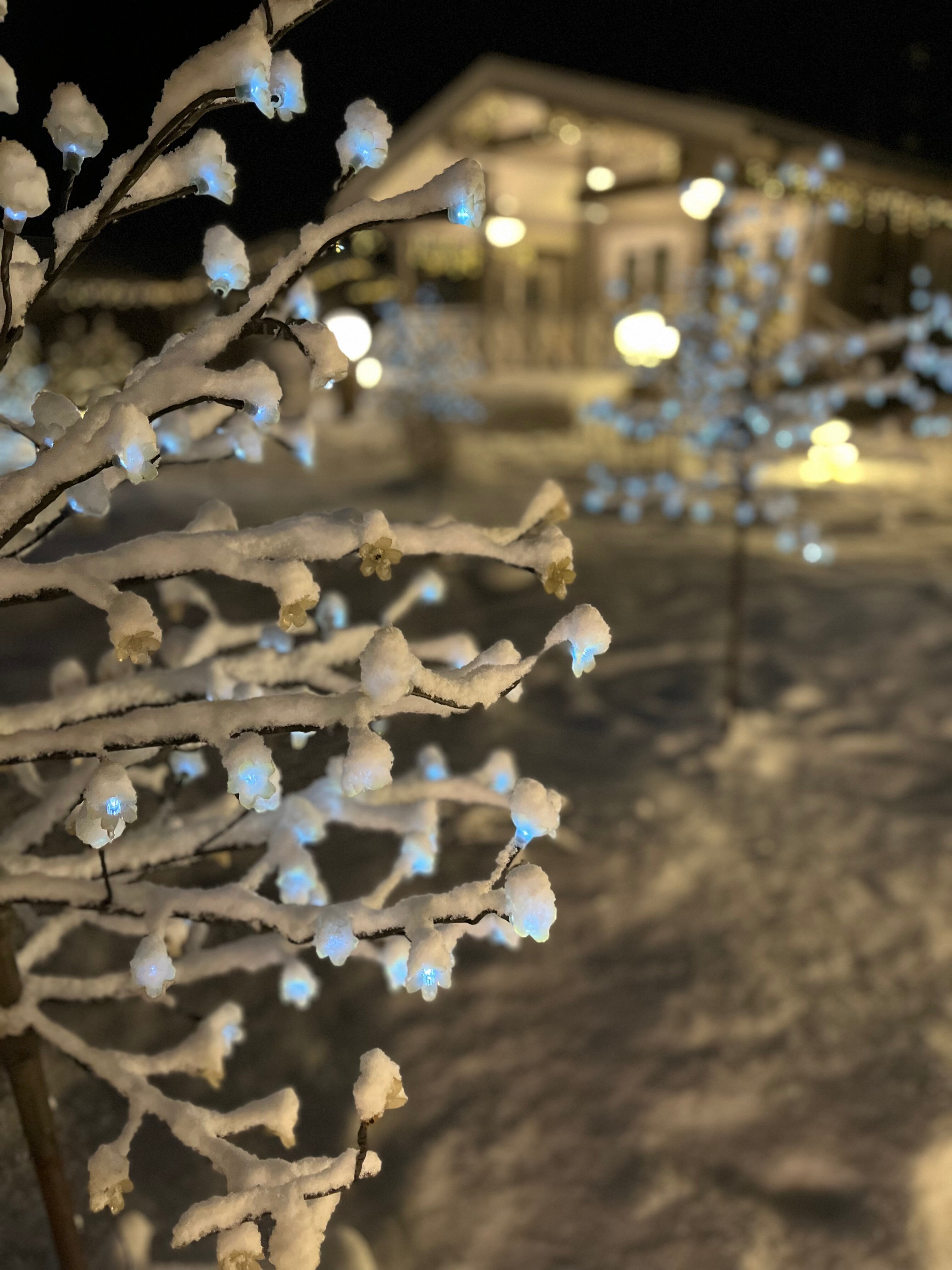 Фото Михайловское