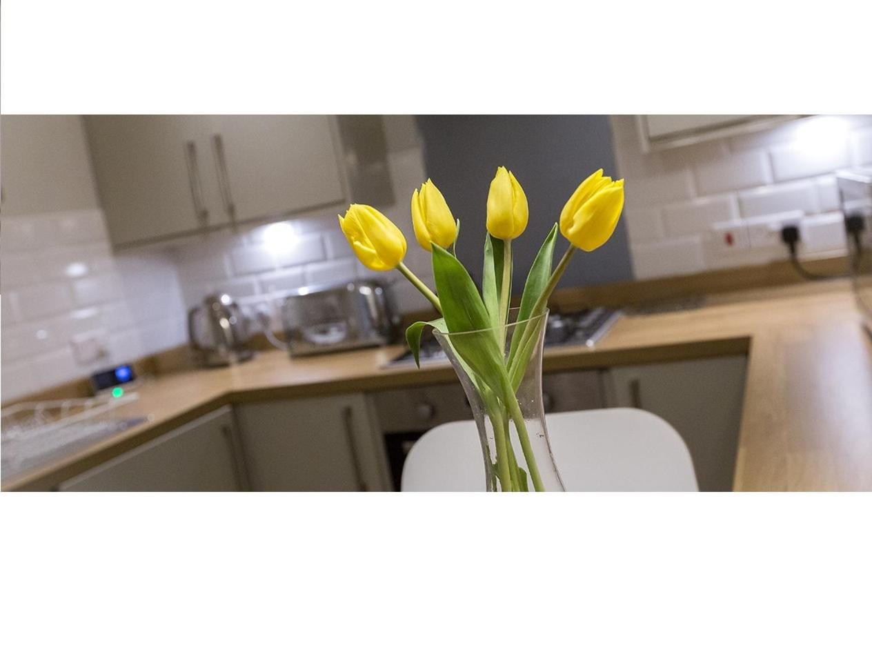 Фото The Lane Hotel