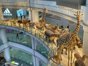 Гостиница Oakwood Premier Guangzhou