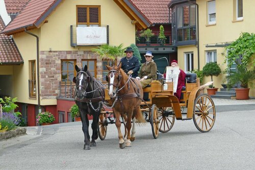 Гостиница Hotel Garni Sebastian