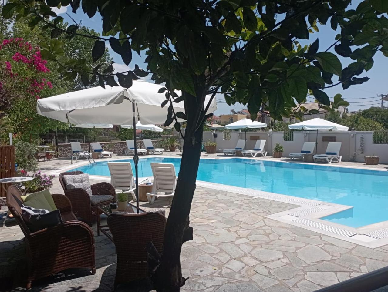 Фото Toni's Guesthouse