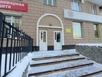 Safeburg (Radishcheva Street, 33), safes