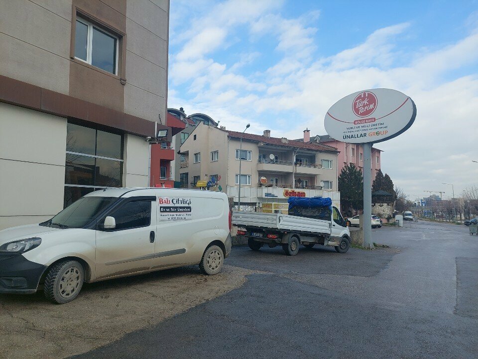 Fodder and feed additives Unal Zahire, Bursa, photo