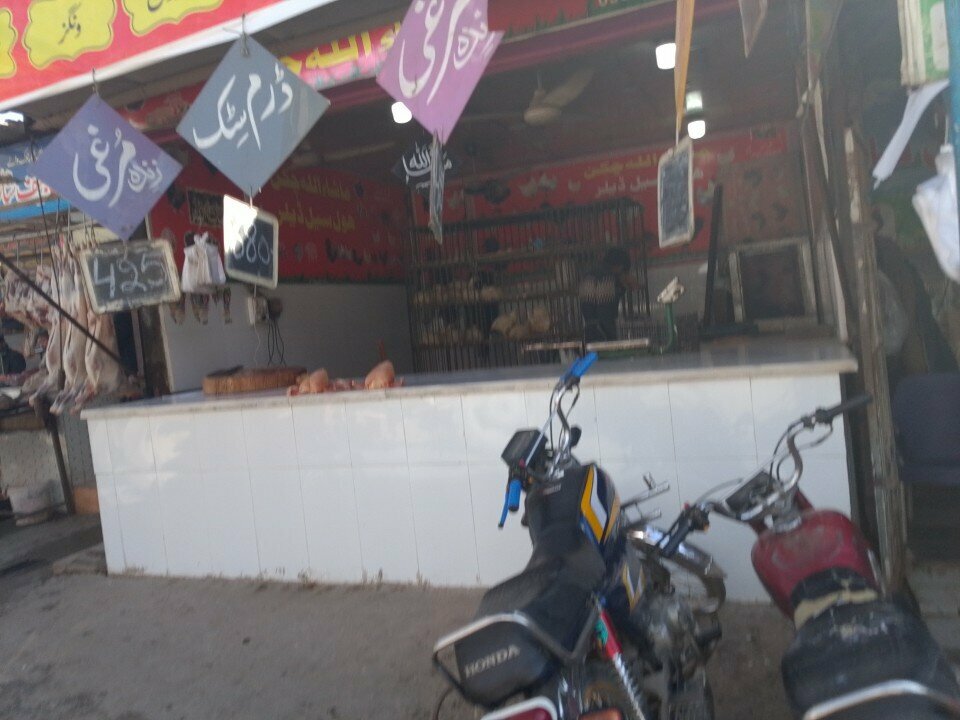 Egg and poultry meat Mashallah chicken shop, Rawalpindi, photo
