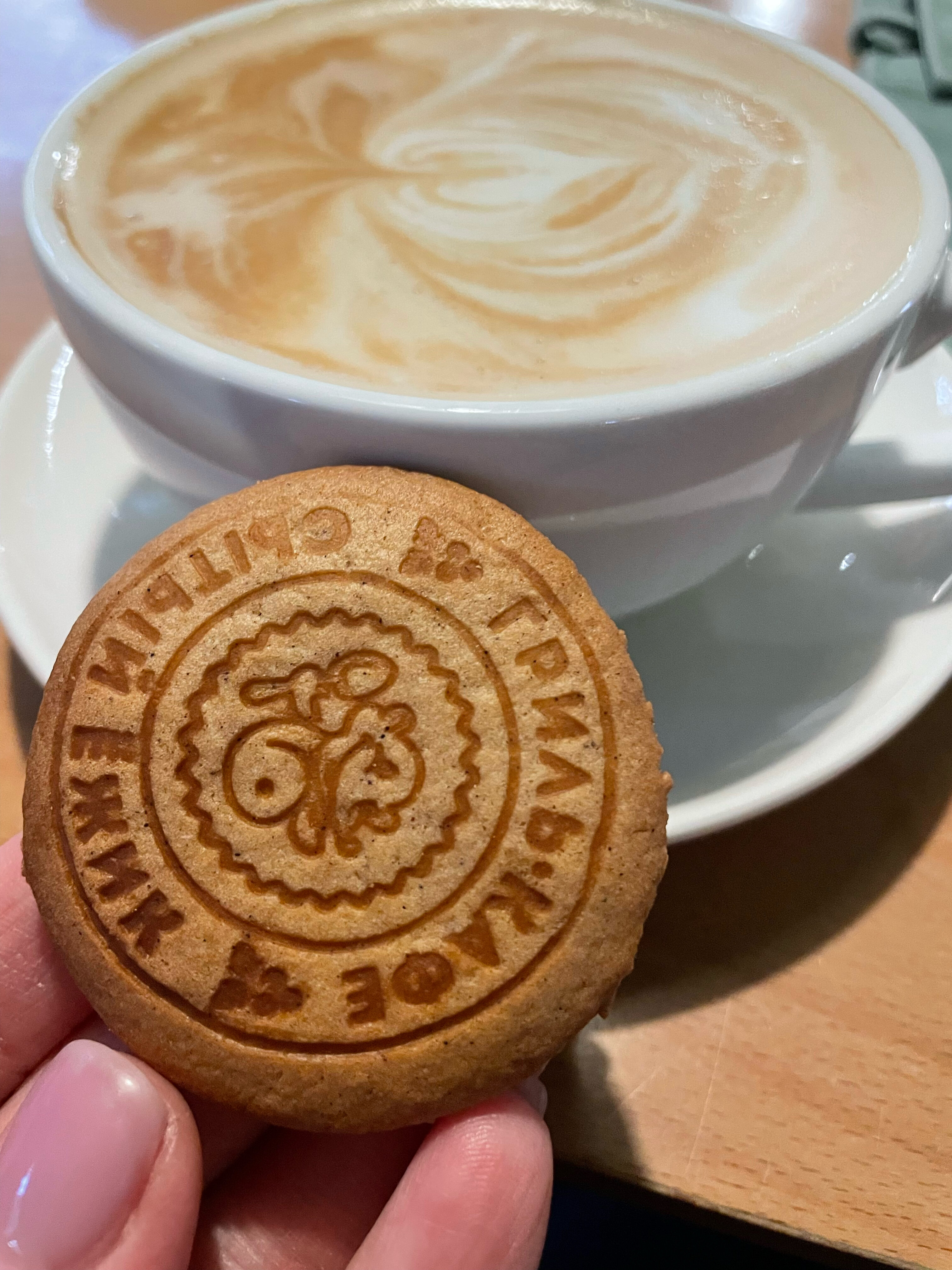 Фото Сытый Ежик