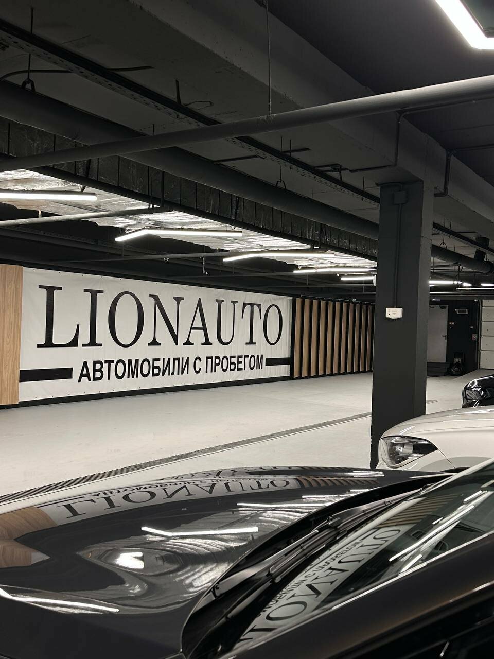 photo Lion Auto