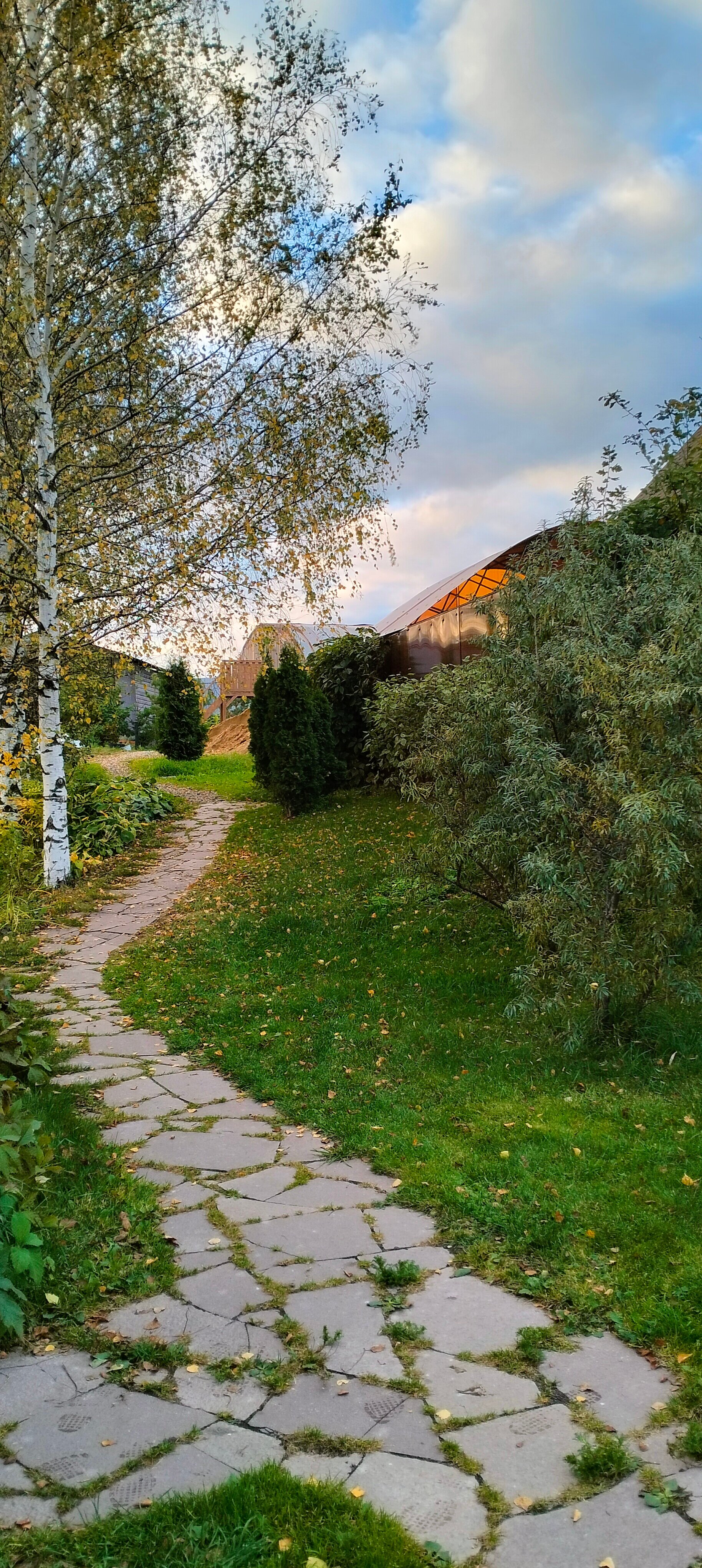 Фото Медведково