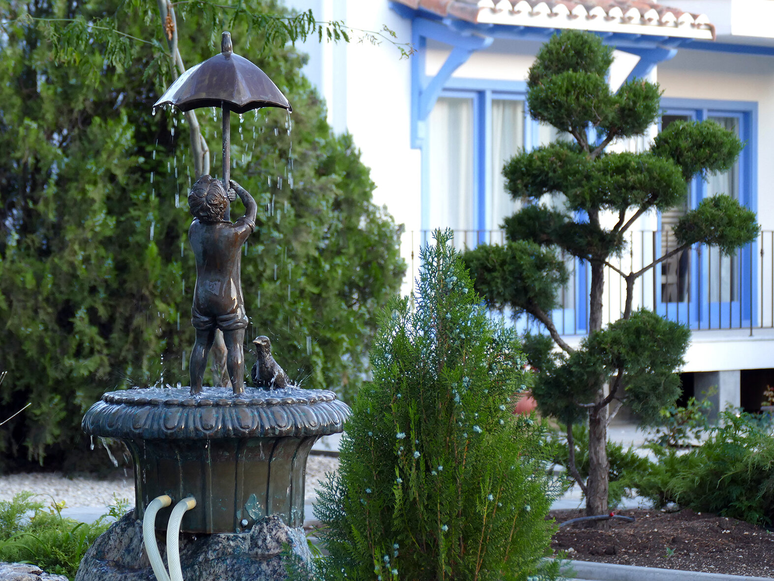 Фото Родина