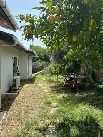 Real estate agency Tayman Emlak, Bodrum, photo