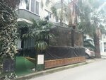 Cactus Cafe (Istanbul, Pendik, Ortanca Avenue, 6A) ، مقهى