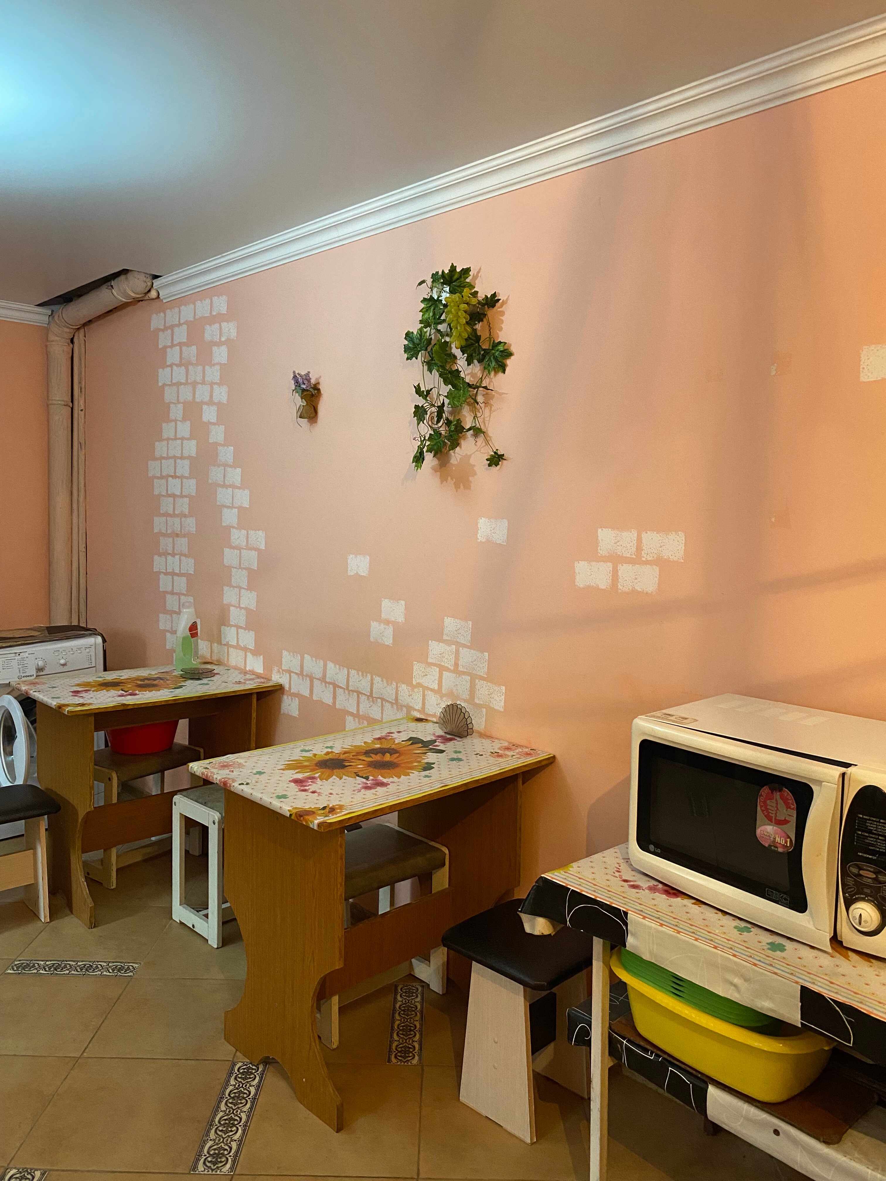 Фото Эдельвейс