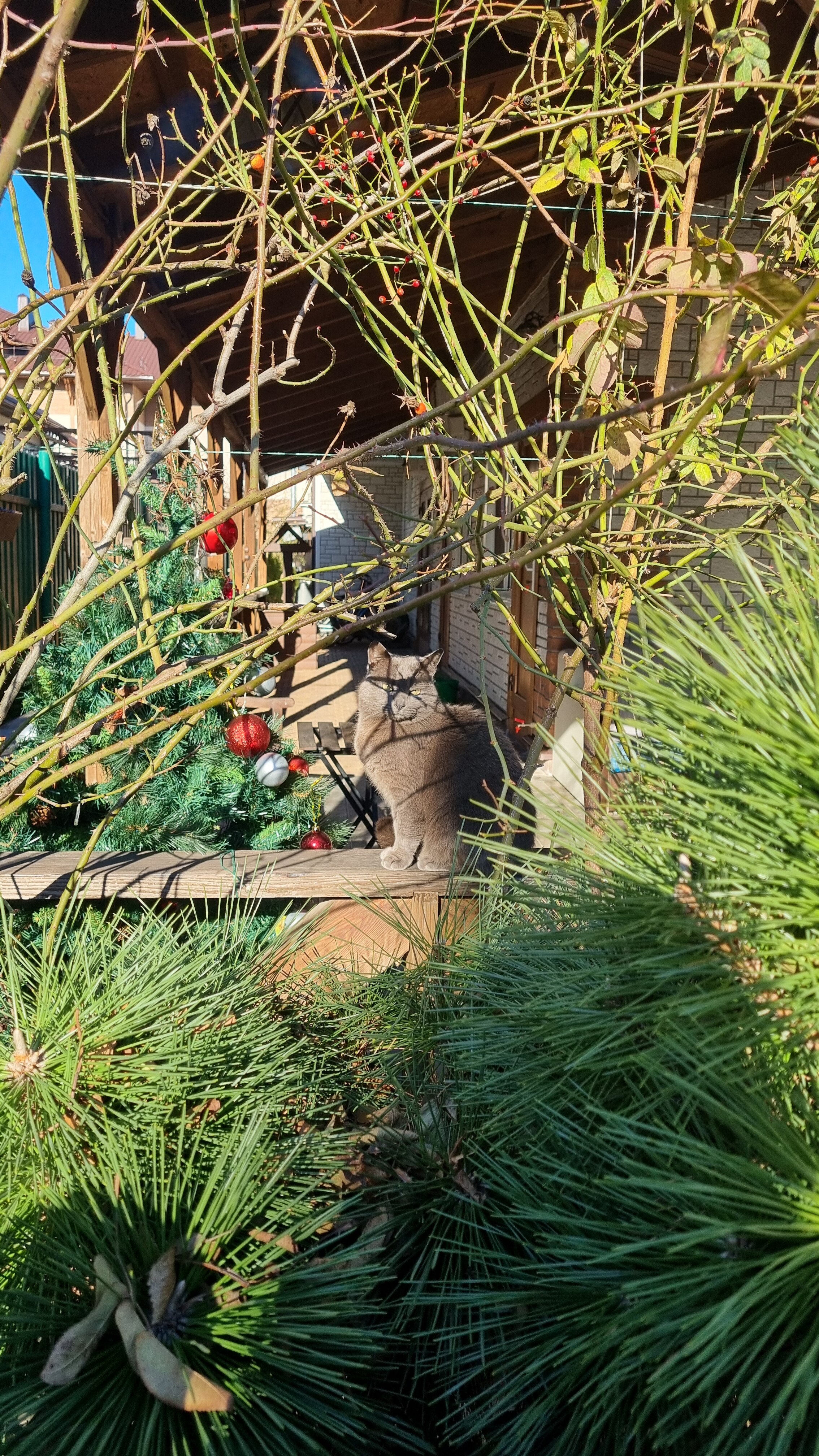 Фото Карловы Ключи