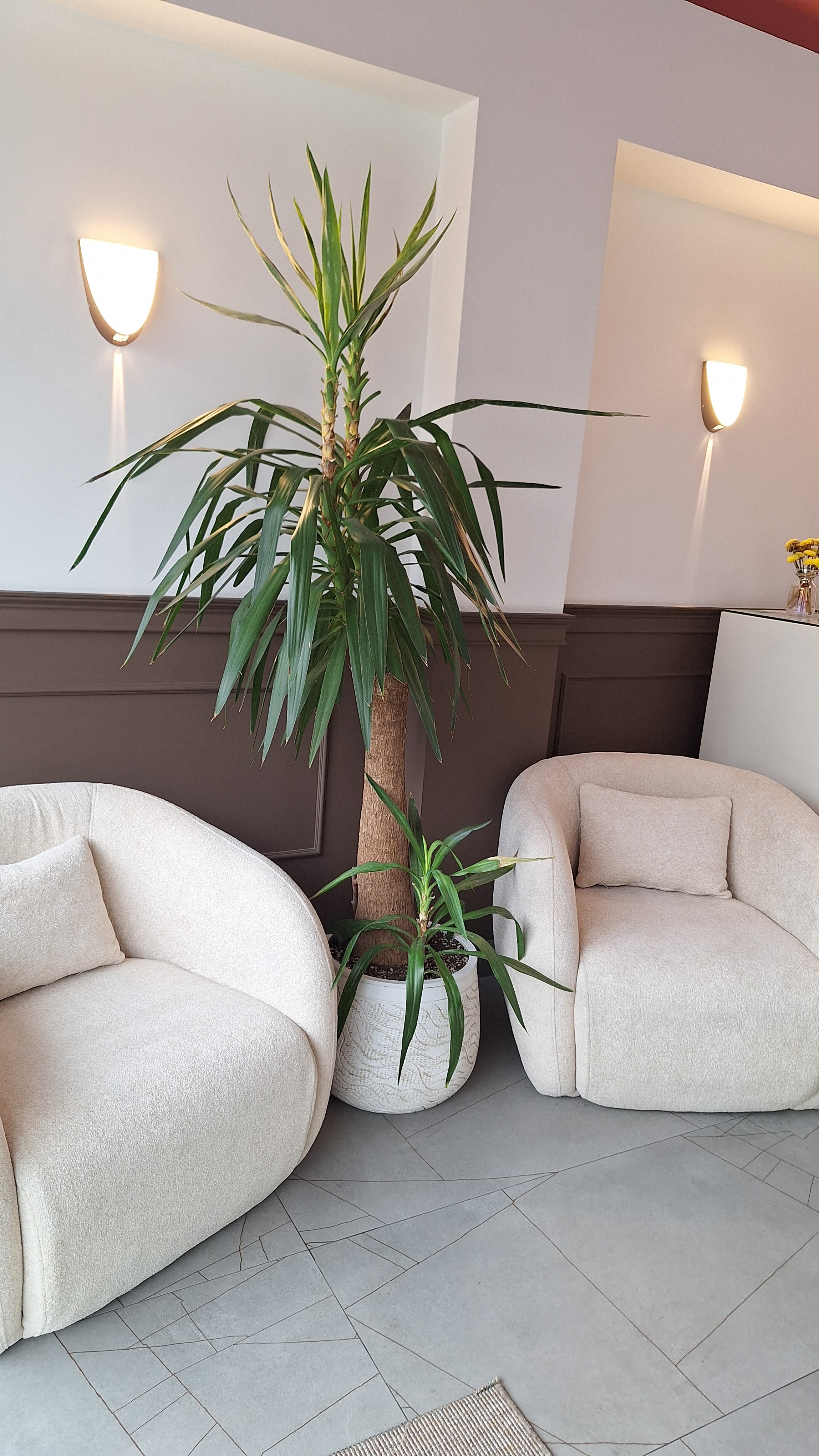 Фото The House Hotel