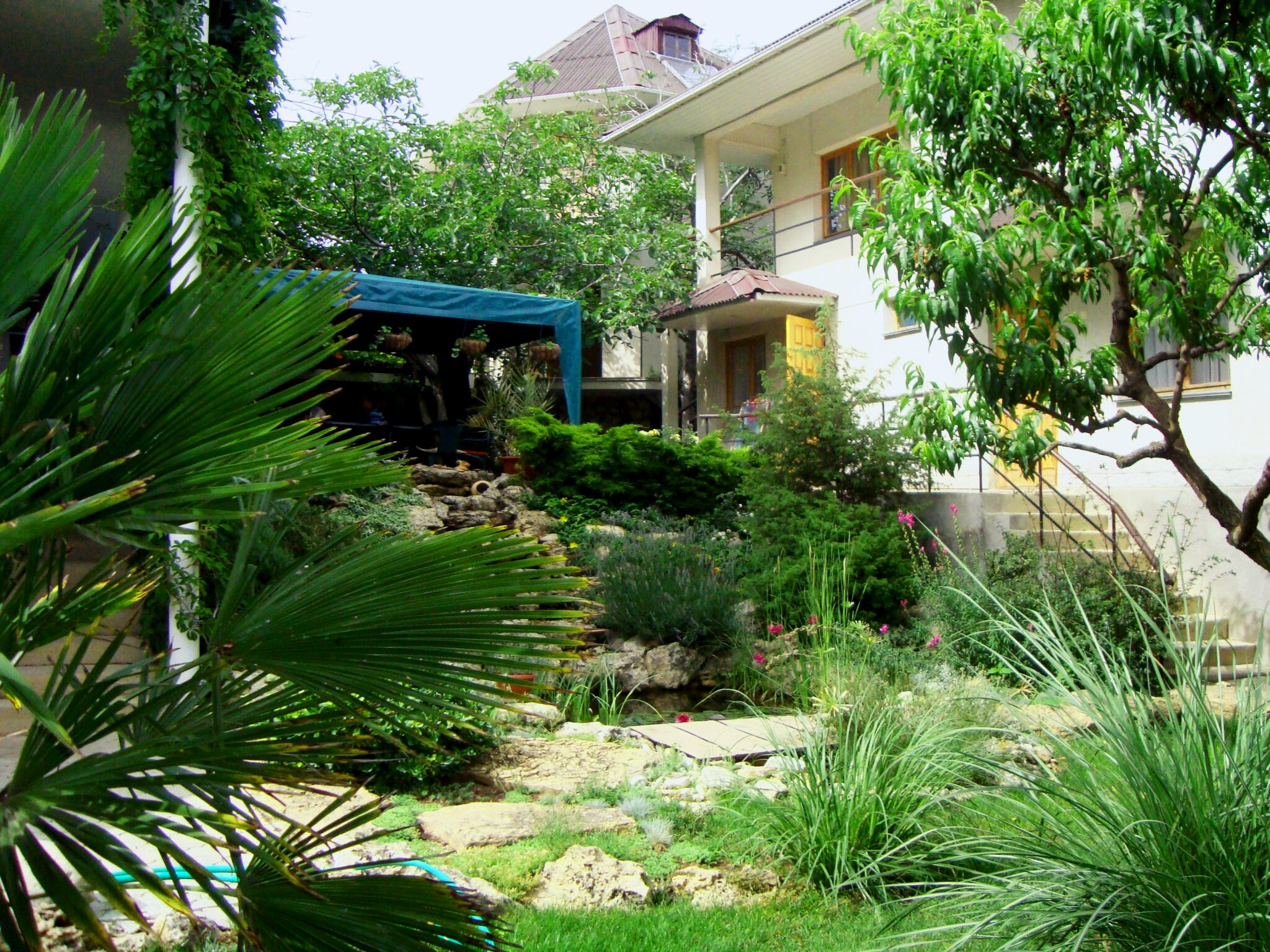 Фото Солнечная Ривьера