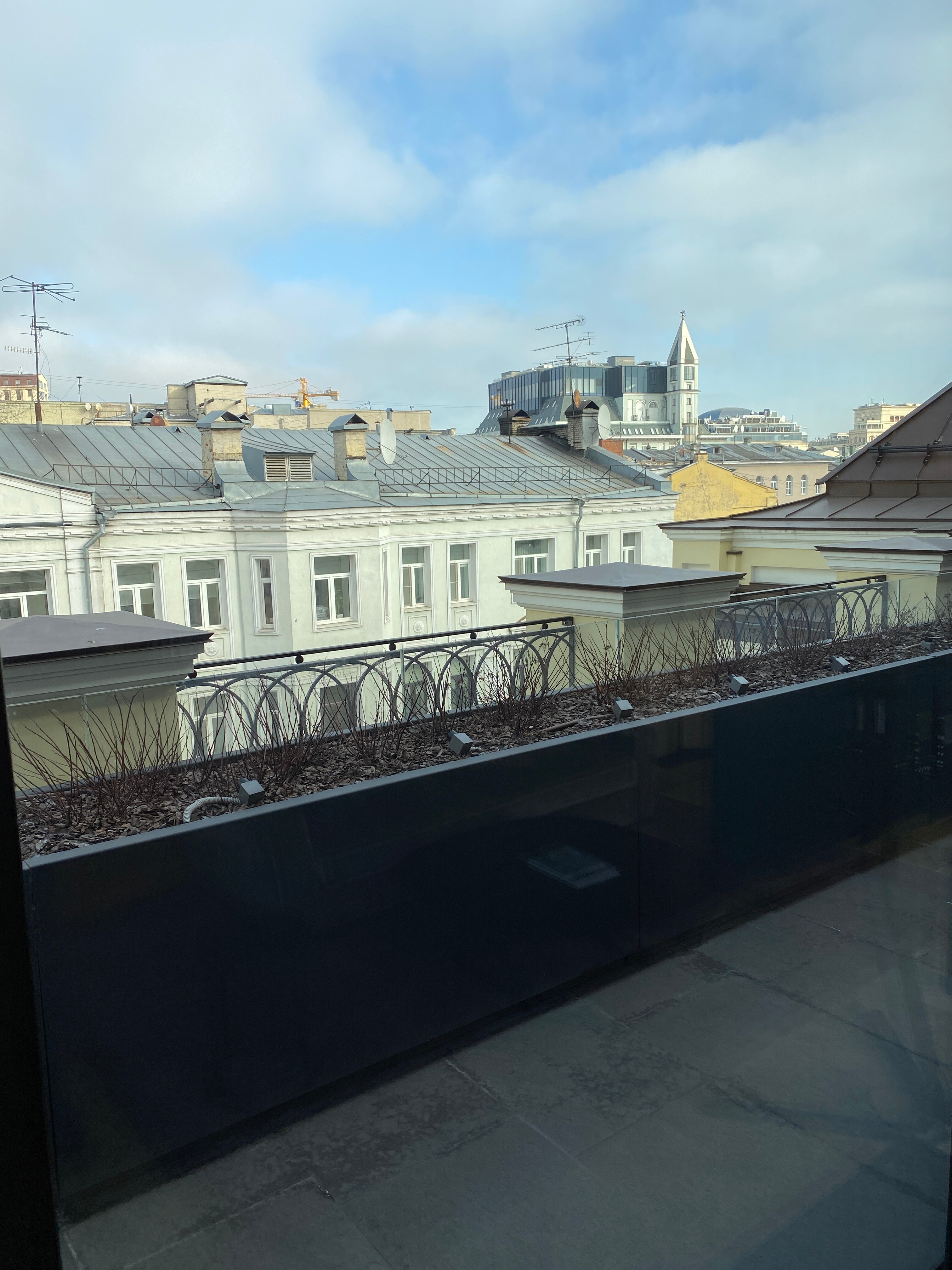 Фото Stella di Mosca