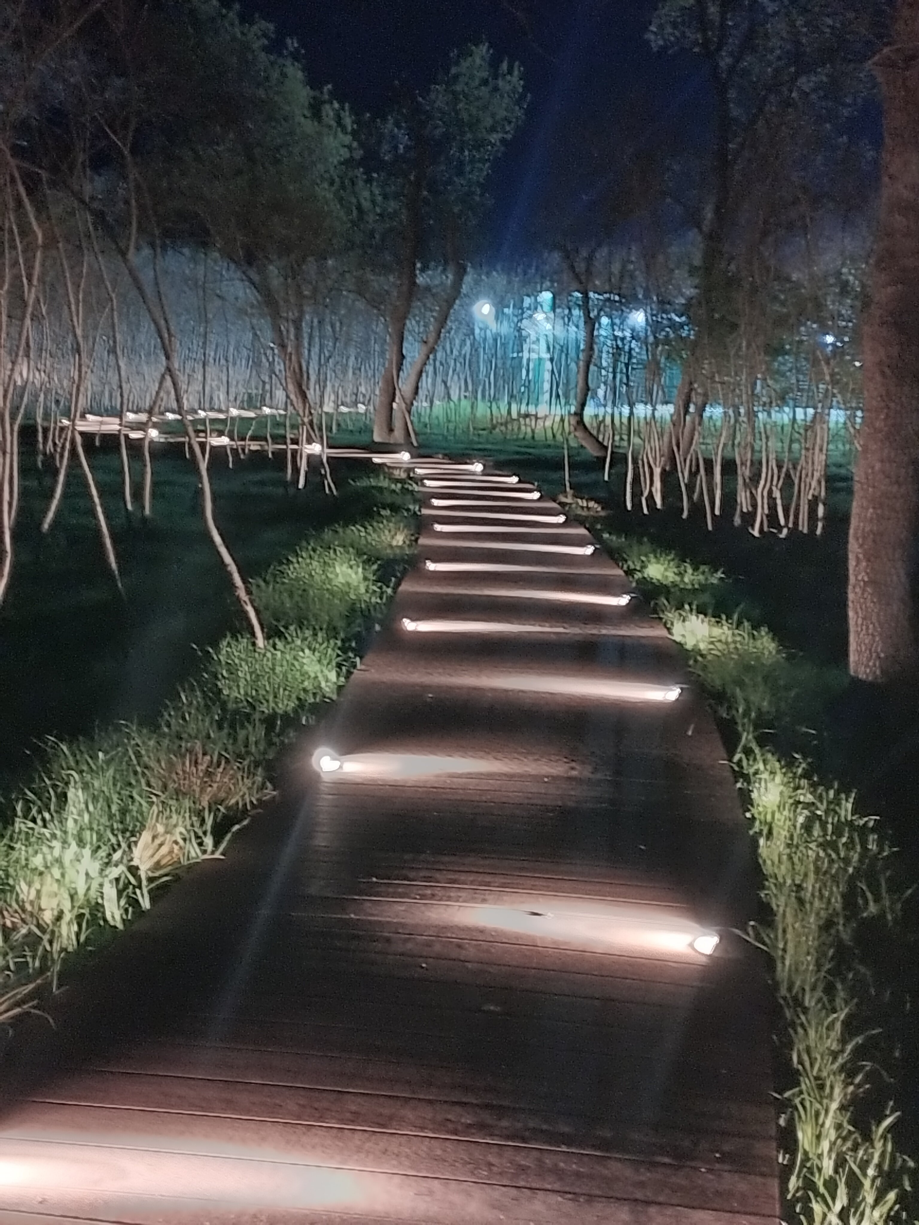 Фото Конфетти