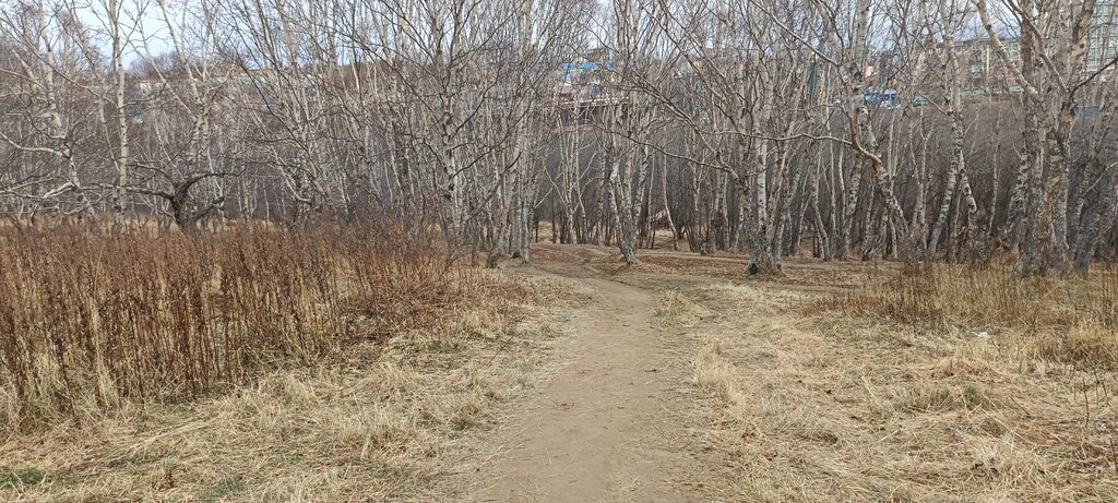 Парк культуры и отдыха городской парк Совхозный ручей, Петропавловск‑Камчатский, фото