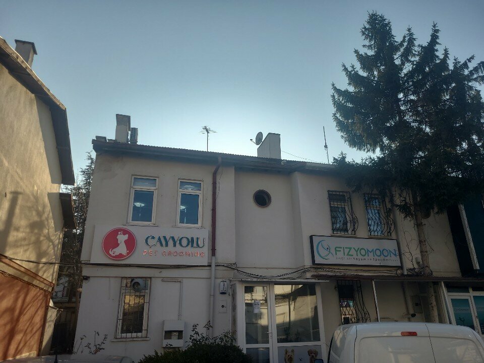 Pet salon Cayyolu Pet Grooming, Ankara, photo