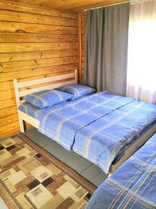 Ель и кедр