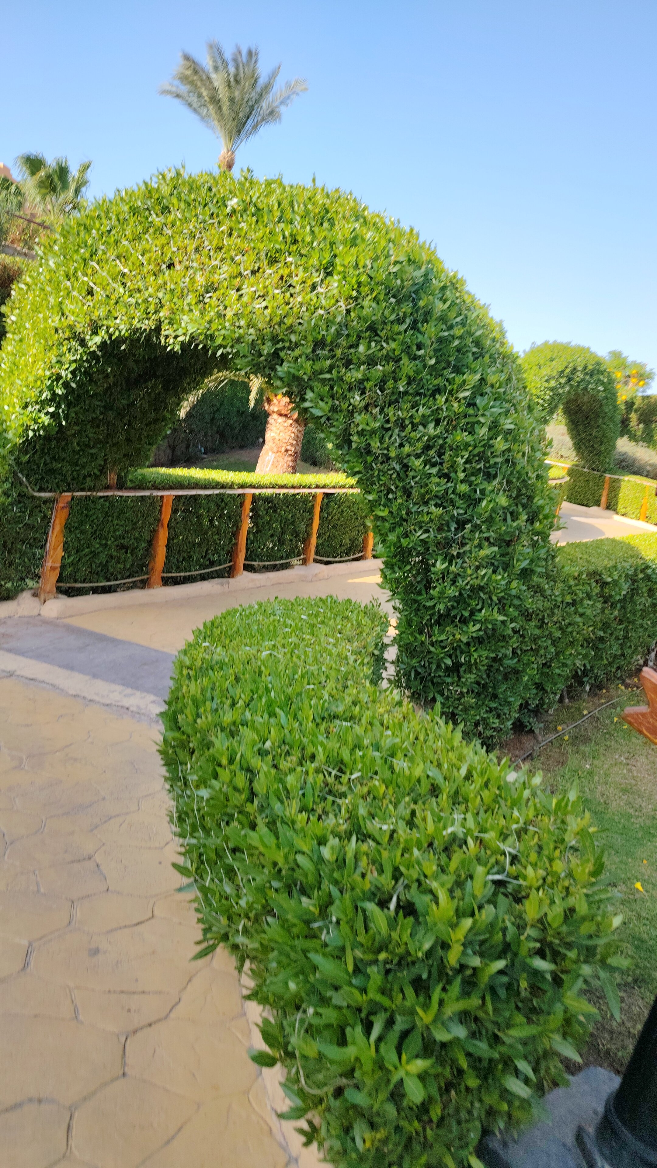 Фото Rehana Royal Beach Resort - Aquapark & SPA